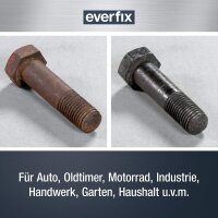 Everfix Rostumwandler Spray mit Grundierung -...