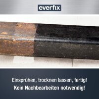 Everfix Rostumwandler Spray mit Grundierung (2 x 500 ml) Rostentferner für Metall - Rost entfernen an Auto, Fahrrad, Zaun, etc.